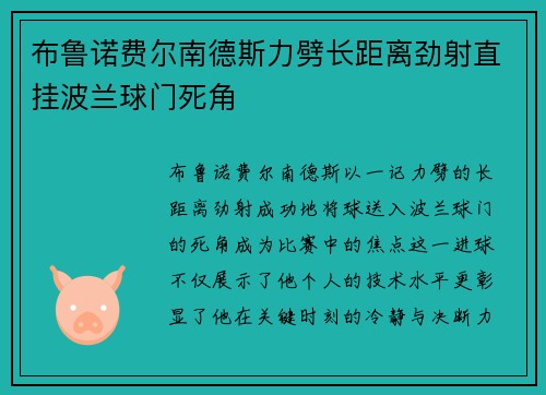 布鲁诺费尔南德斯力劈长距离劲射直挂波兰球门死角